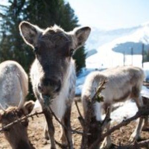 Meet your Posher, Charline